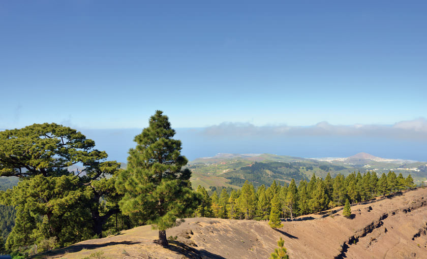 Natuur van Gran Canaria